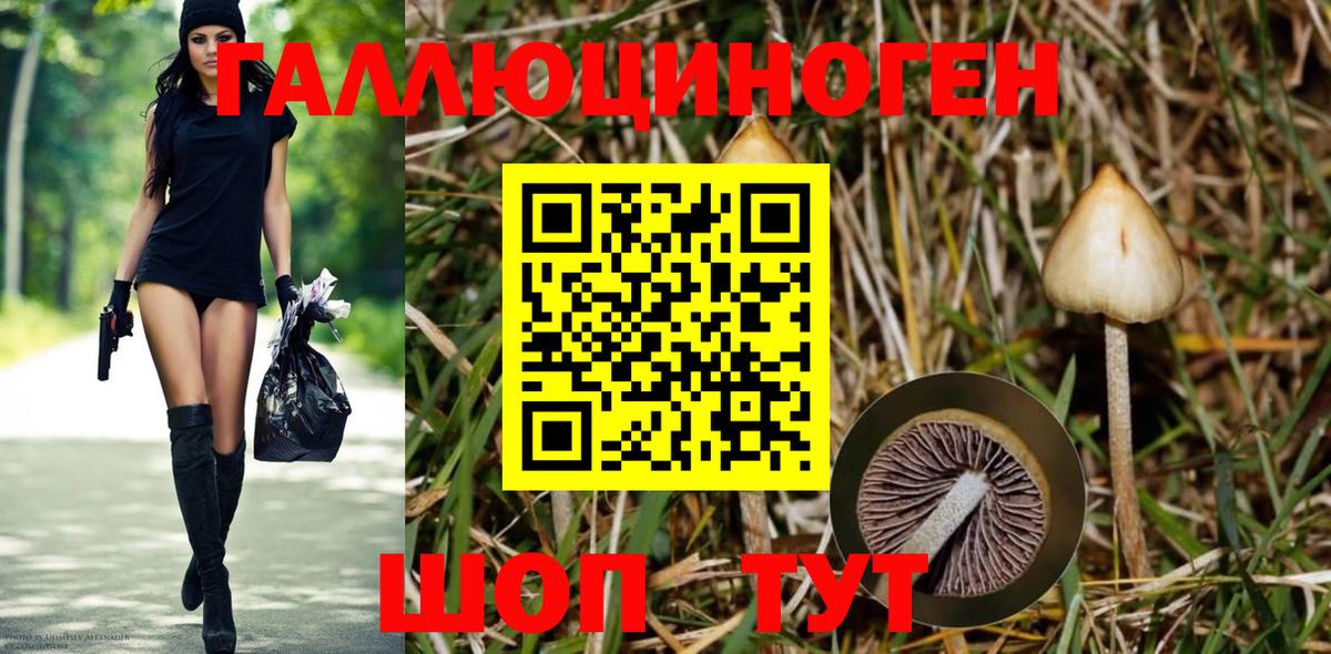 Галлюциногенные грибы ЛСД  Псилоцибиновые грибы Psilocybine cubensis  Вход с VPN  Белогорск 